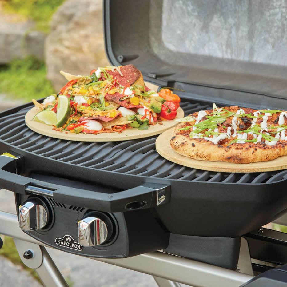 Barbecue au gaz propane avec chariot pliable 12 000 BTU - TravelQ™ PRO285X