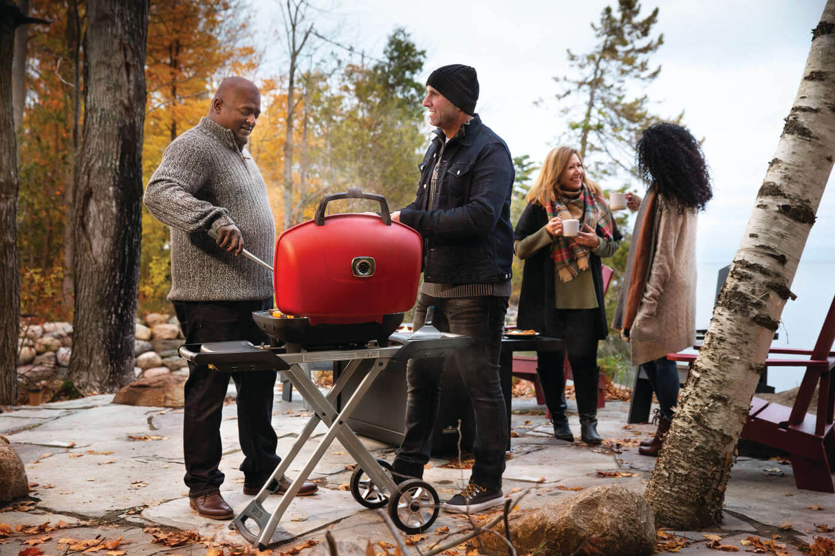 Barbecue au gaz propane avec chariot pliable - TravelQ 285X