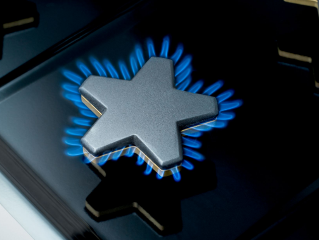 Cuisinière au gaz autoportante 30 po. 5,1 pi³ Inox