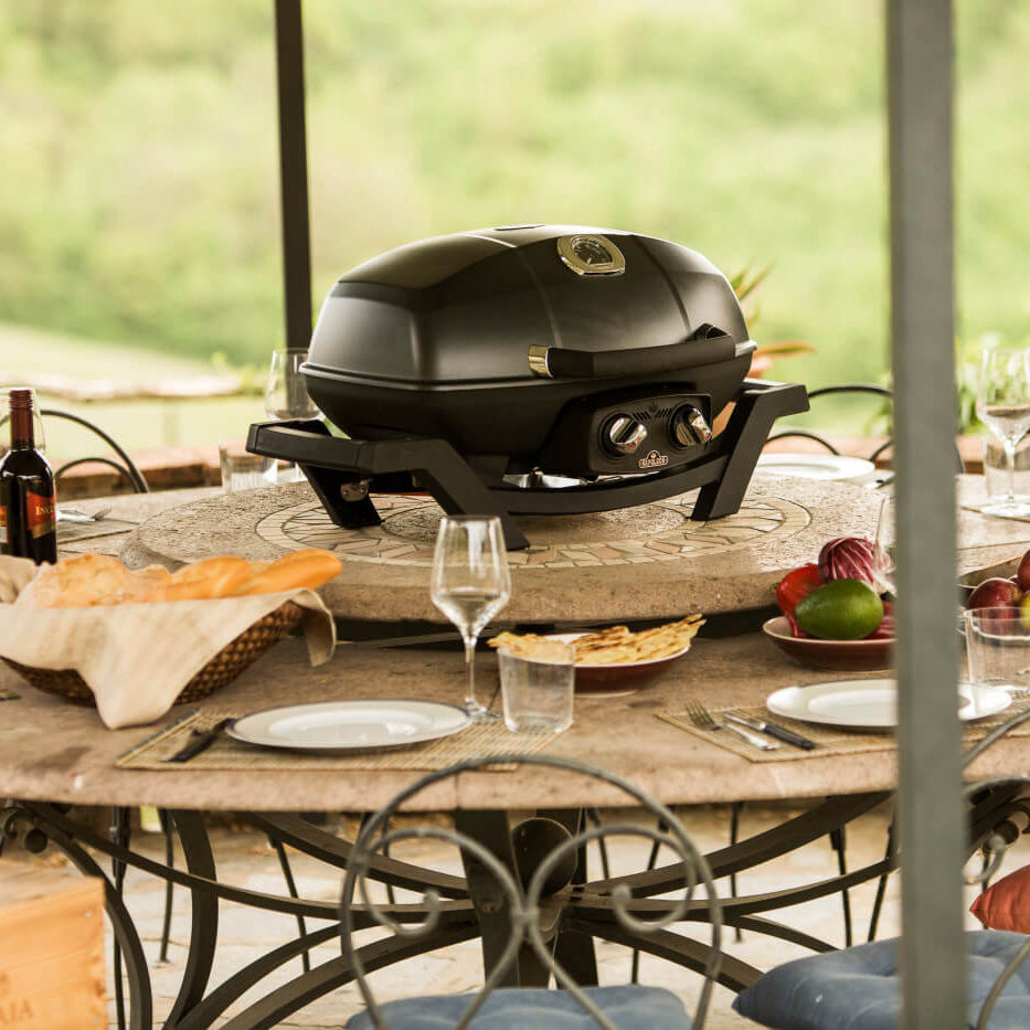 Barbecue au gaz naturel portatif 12 000 BTU - TravelQ™ PRO285