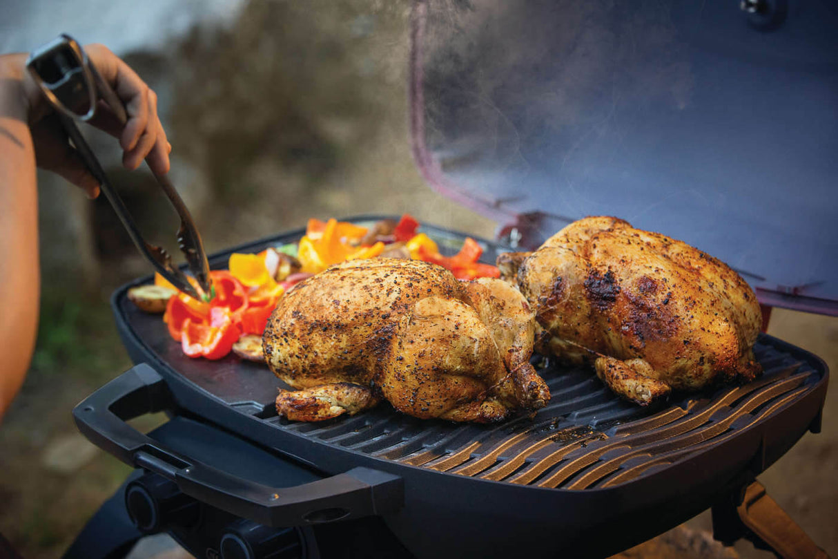 Barbecue au gaz propane portatif - TravelQ 285