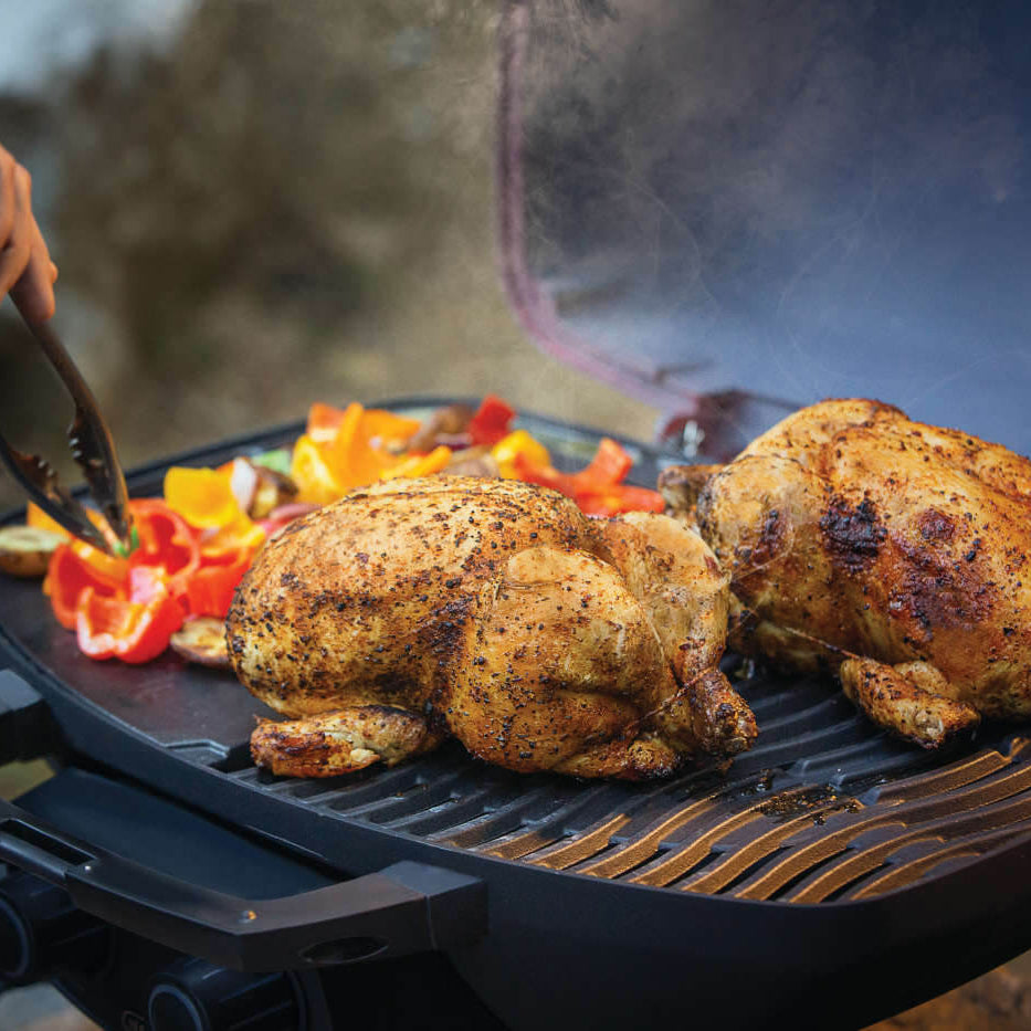 Barbecue au gaz propane portatif 12 000 BTU - TravelQ™ 285