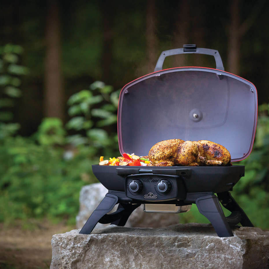 Barbecue au gaz propane portatif 12 000 BTU - TravelQ™ 285