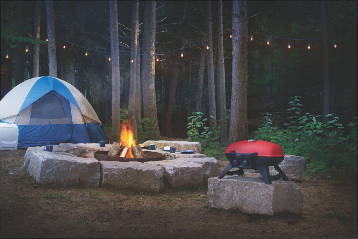 Barbecue au gaz propane portatif - TravelQ 285