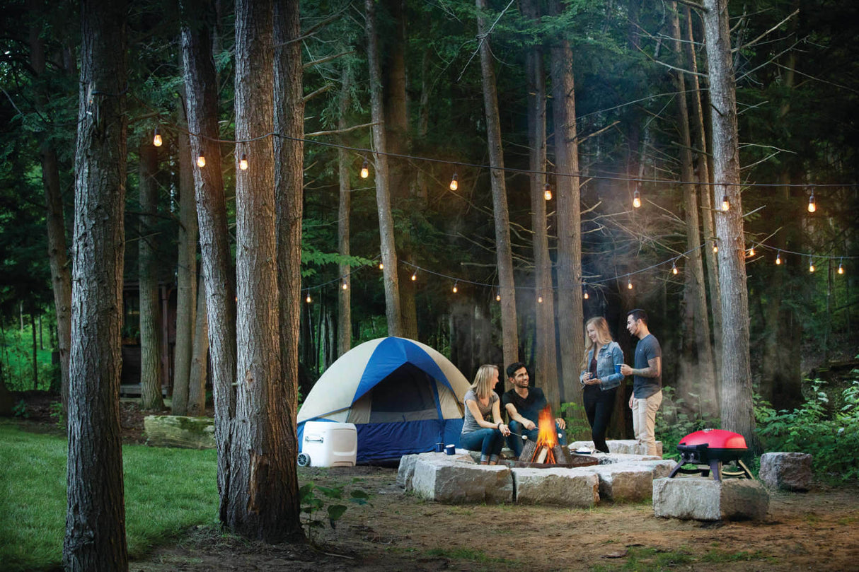 Barbecue au gaz propane portatif - TravelQ 285