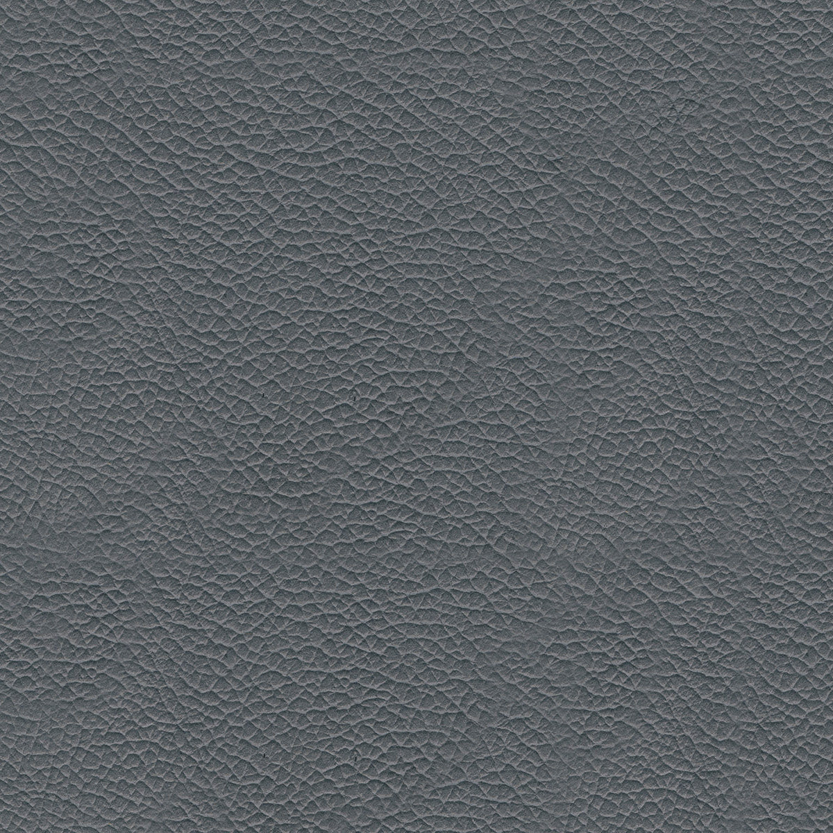 Fauteuil en cuir - Genoa