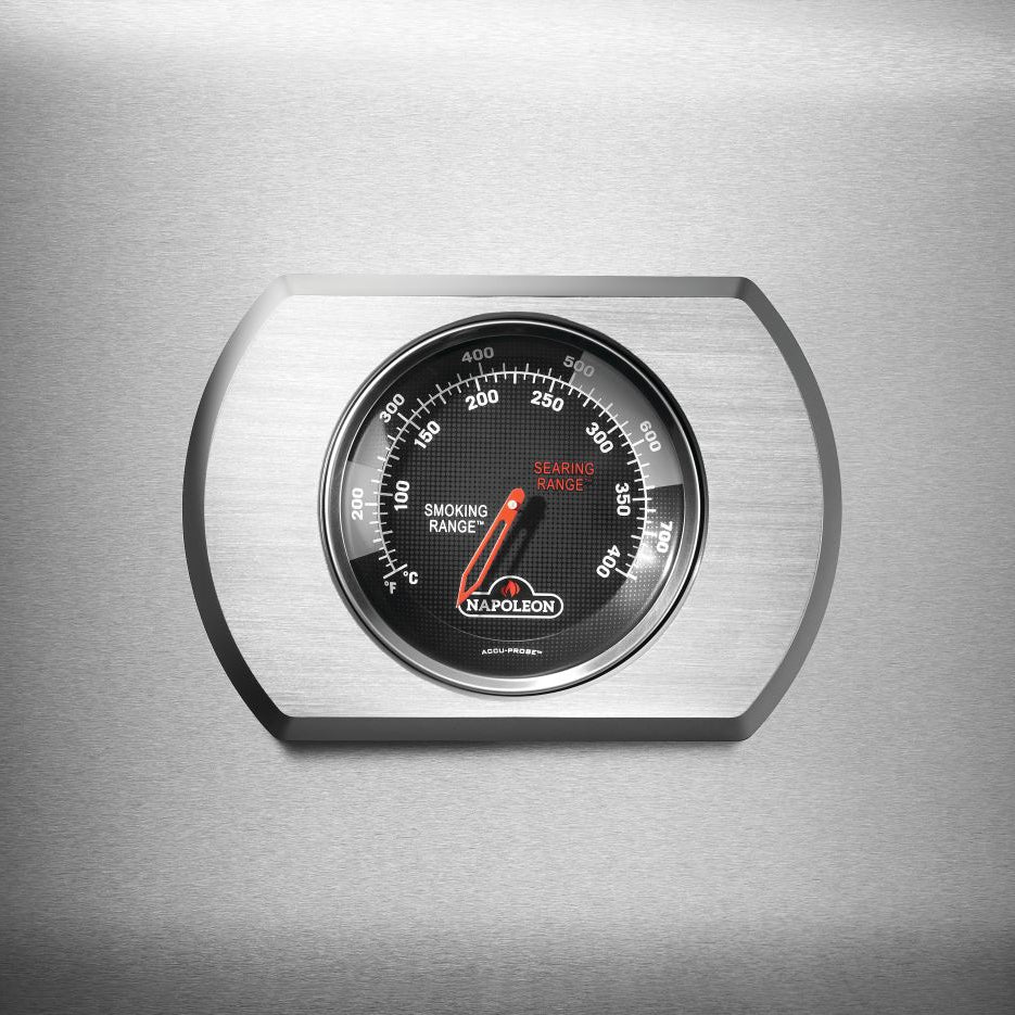 Barbecue au gaz propane 42 000 BTU - Rogue® 425
