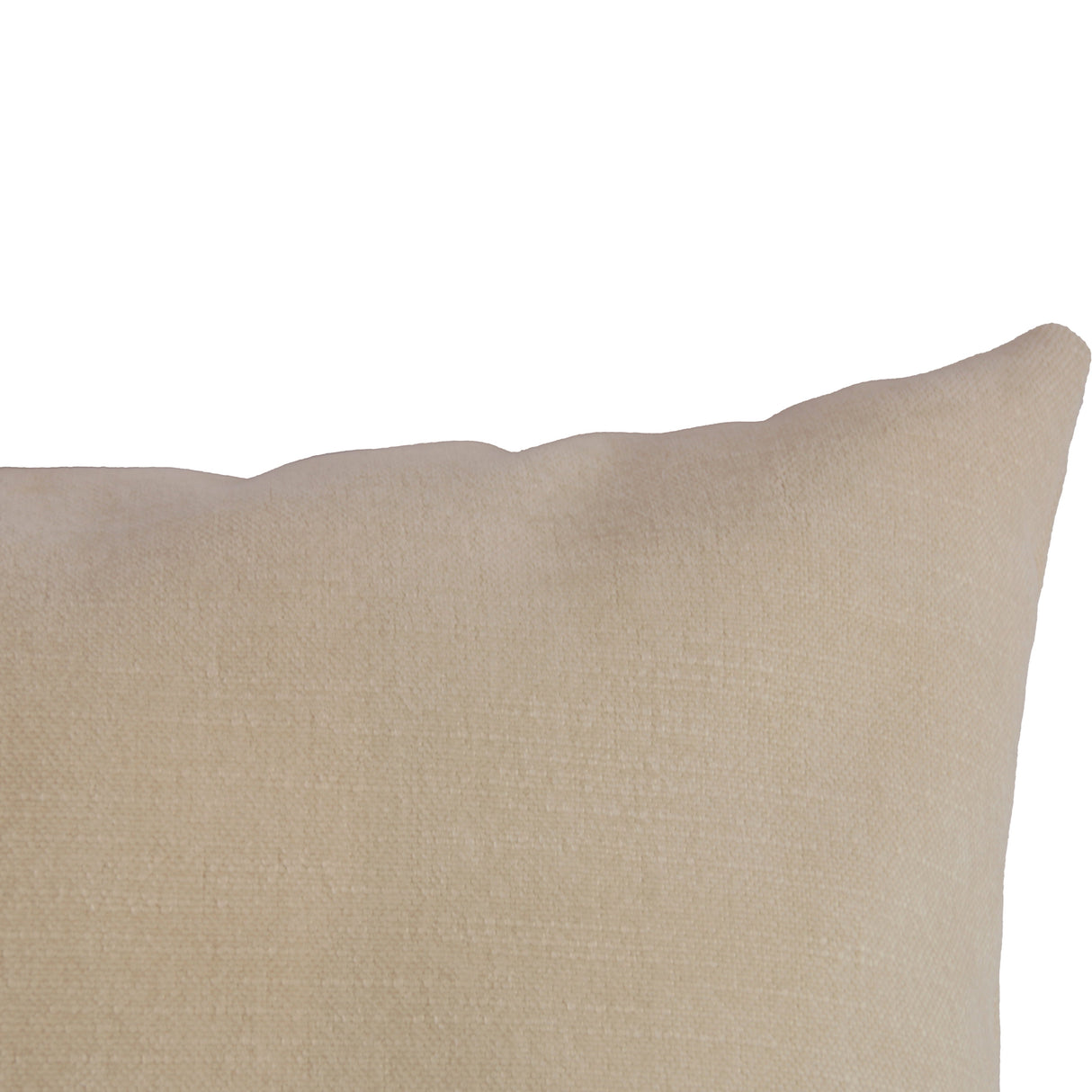 Coussin 22 x 22 po en velours - Paola