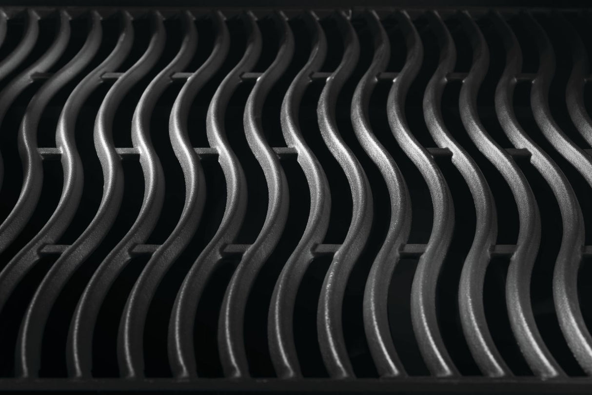 Barbecue au gaz naturel - Freestyle 365