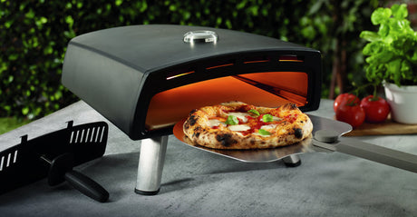 Fours à pizza