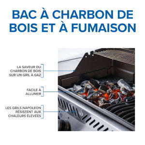 Bac à charbon de bois/fumaison en fonte