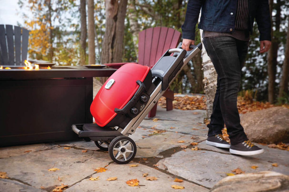 Barbecue au gaz propane avec chariot pliable - TravelQ 285X
