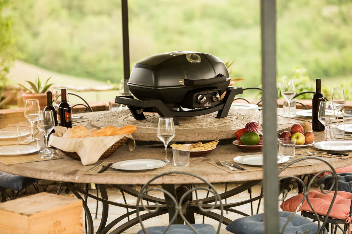 Barbecue au gaz propane portatif - TravelQ PRO 285