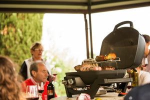 Barbecue au gaz propane portatif - TravelQ PRO 285