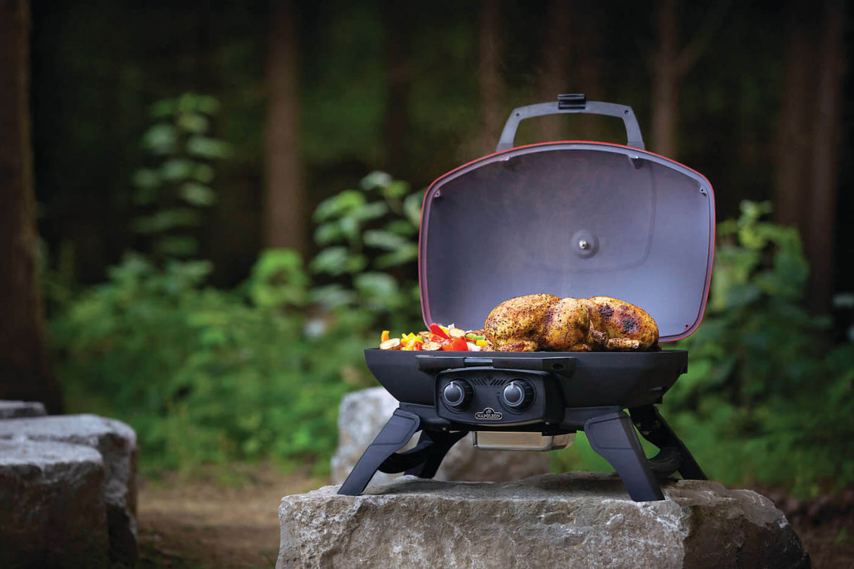 Barbecue au gaz propane portatif - TravelQ 285