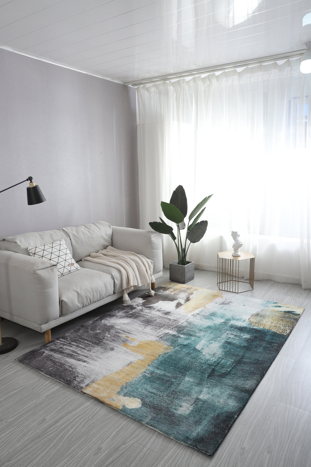 Tapis Plushy - 5 pi x 7 pi