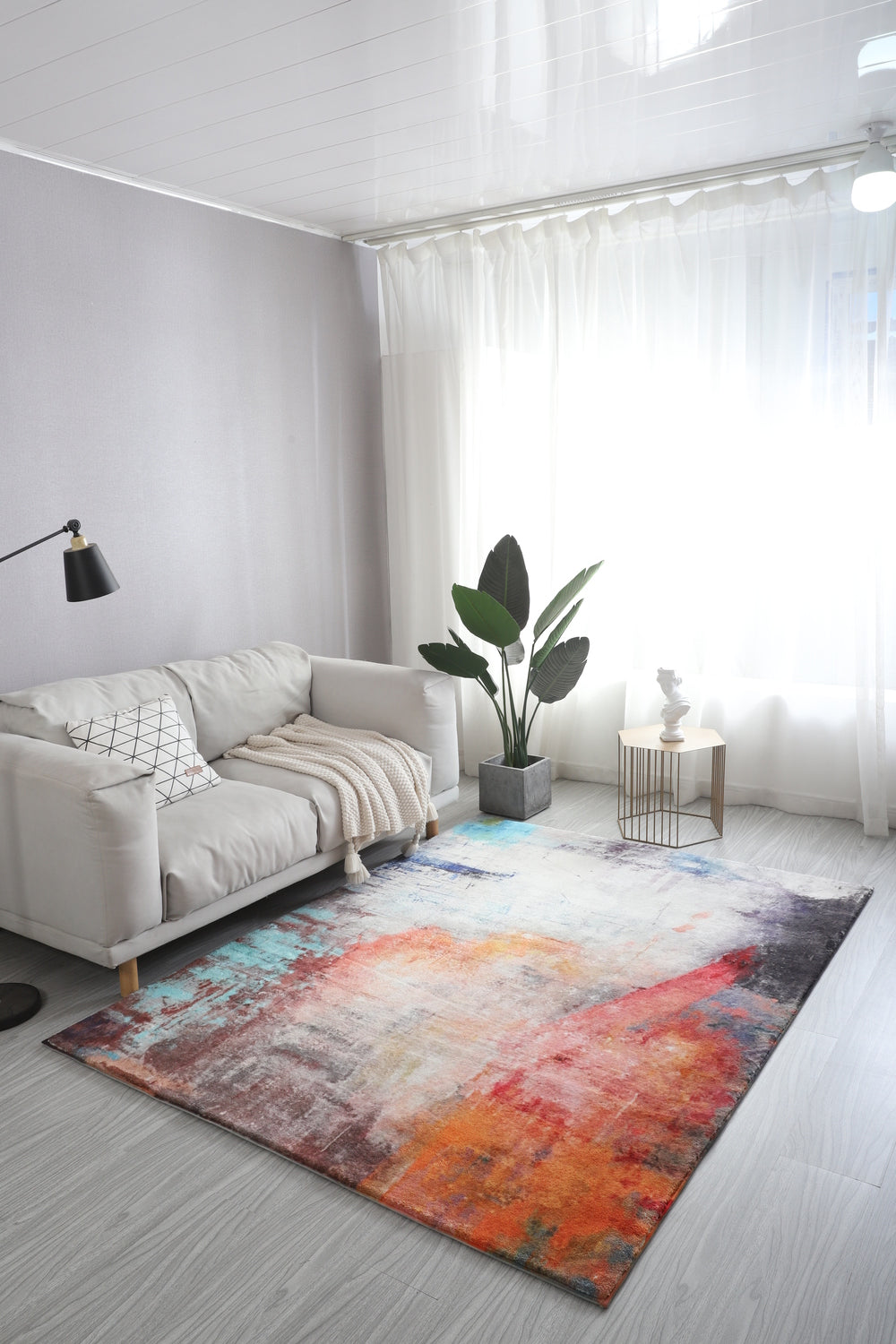 Tapis Plushy - 5 pi x 7 pi