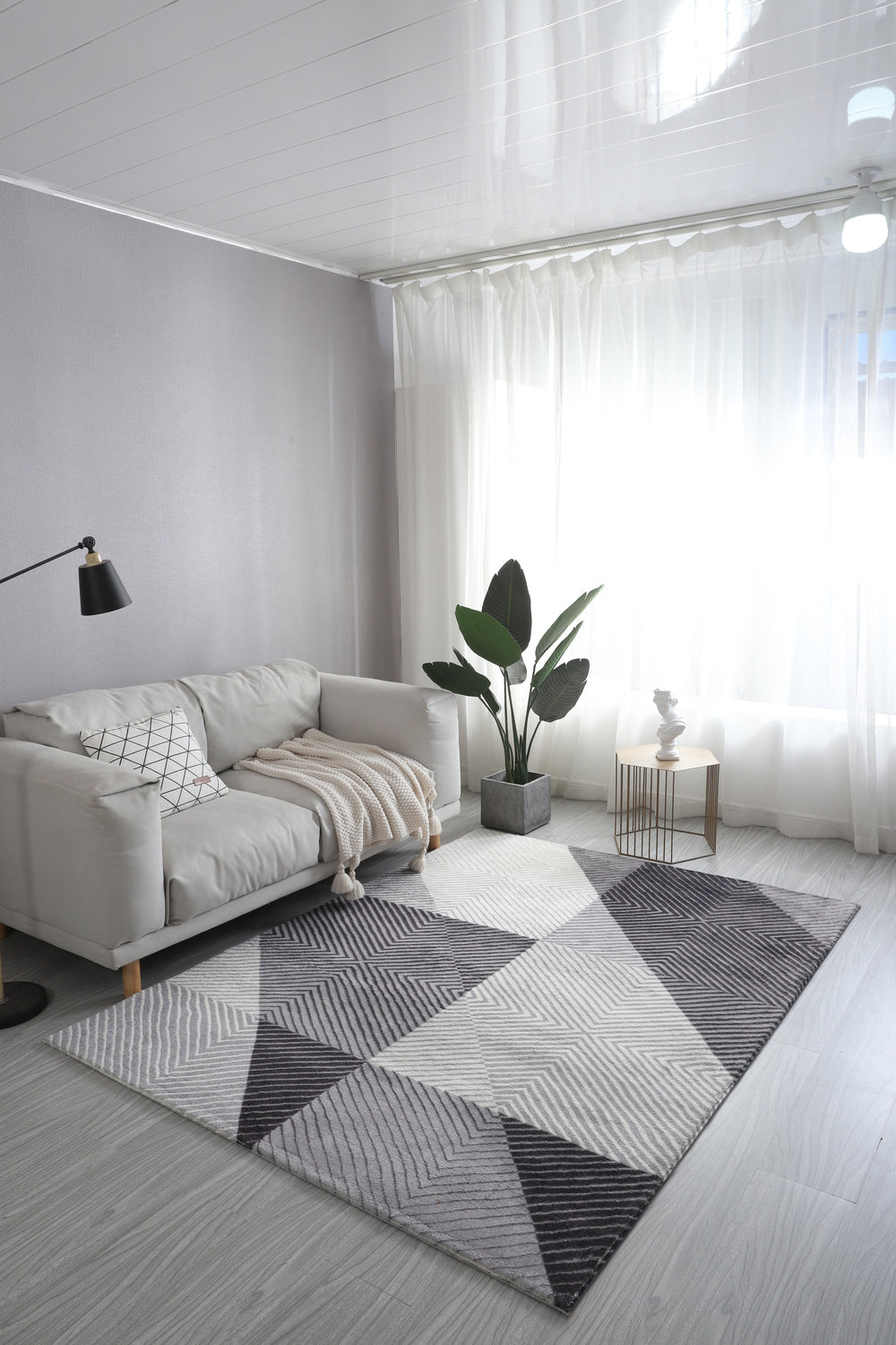 Tapis Plushy - 5 pi x 7 pi