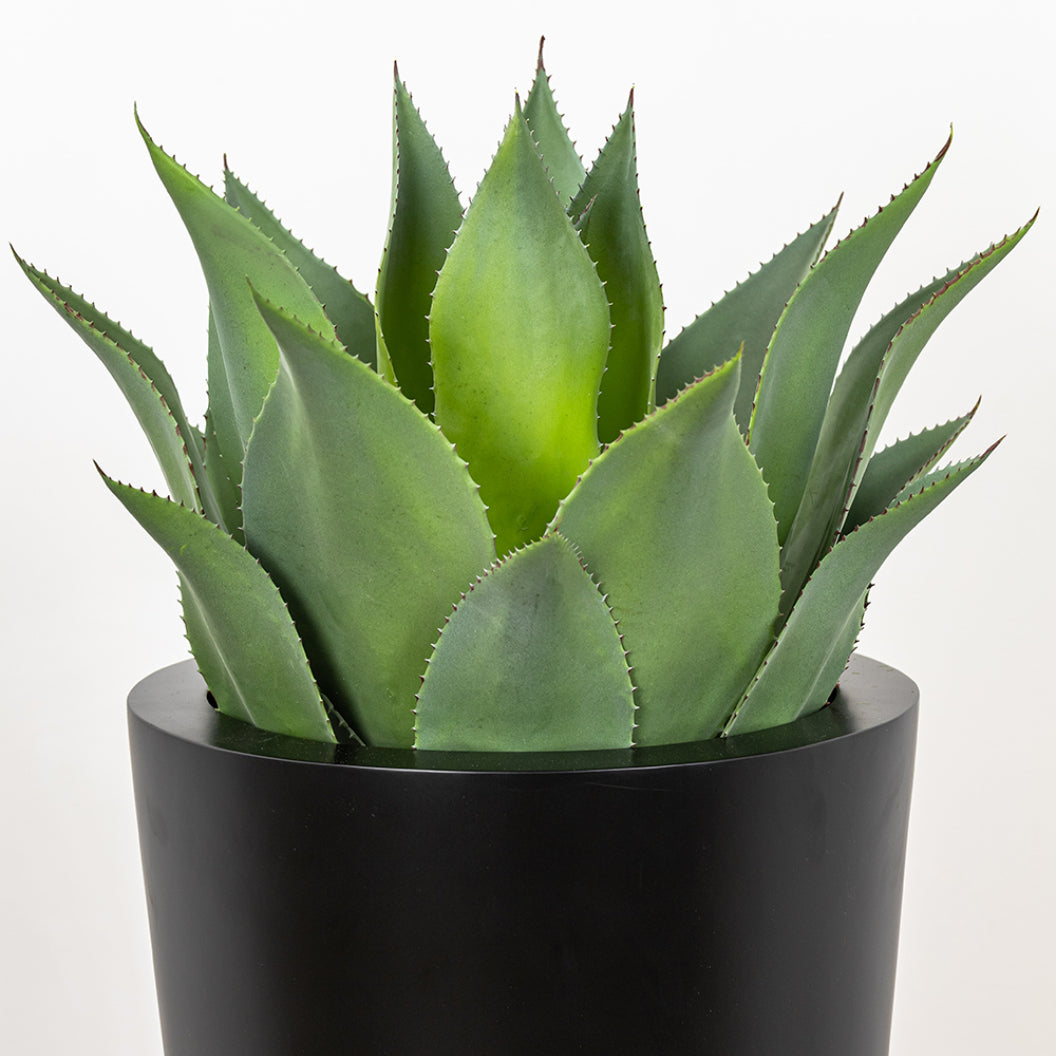 Plantes artificielles - Agave