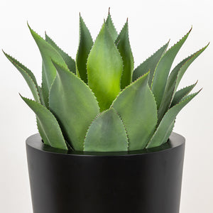 Plantes artificielles - Agave