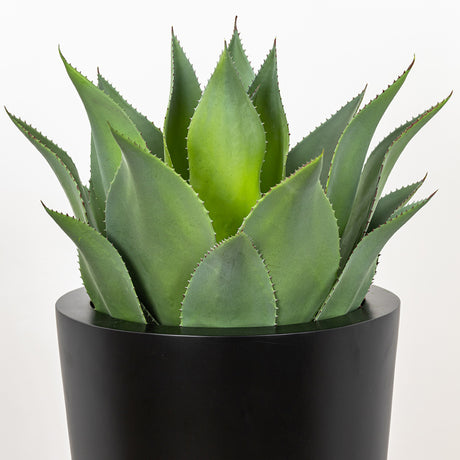 Plantes artificielles - Agave