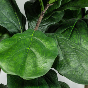 Arbres artificiels - Figuier