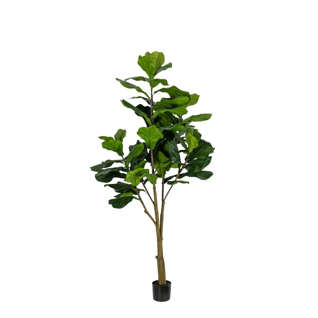 Arbres artificiels - Figuier