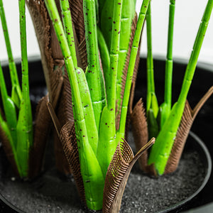 Plante artificielle - Palmier