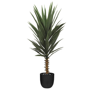 Plantes artificielles - Agave