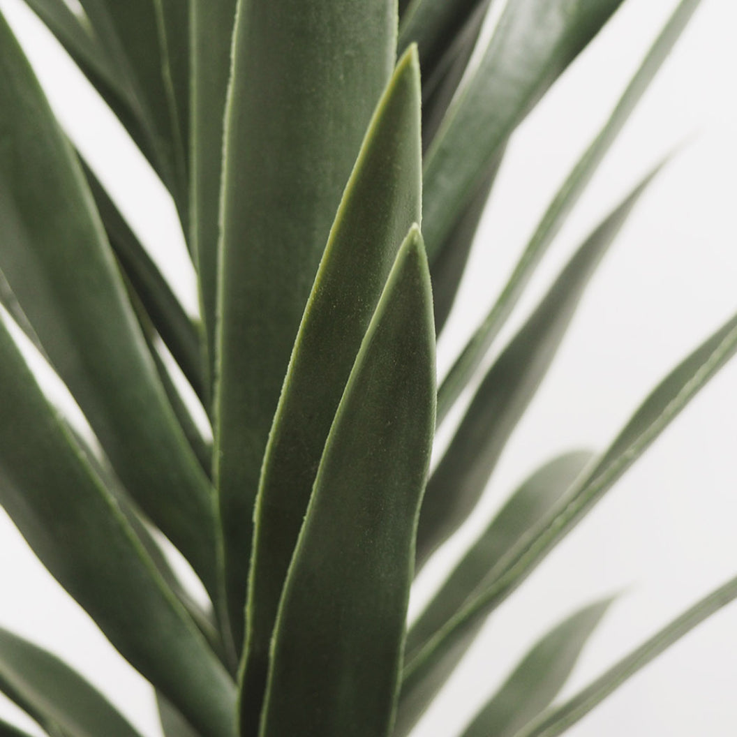 Plantes artificielles - Agave