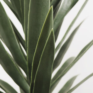 Plantes artificielles - Agave