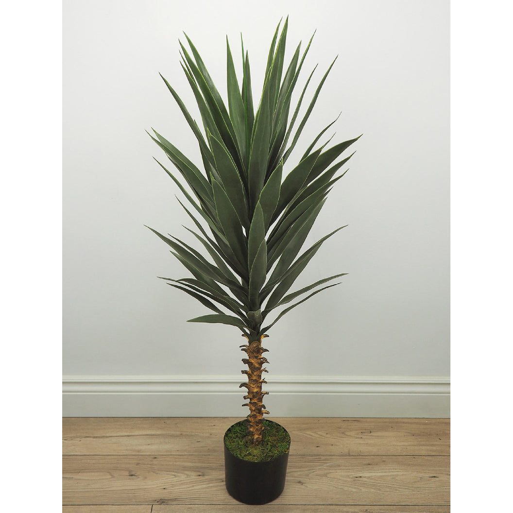 Plantes artificielles - Agave