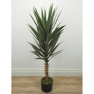 Plantes artificielles - Agave