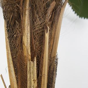 Plante artificielle - Palmier Licuala Grandis