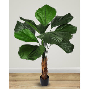 Plante artificielle - Palmier Licuala Grandis