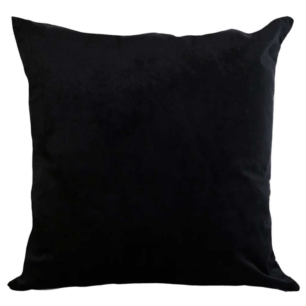 Coussin 18 x 18 po en velours imprimé d'oiseaux colorés - Panama