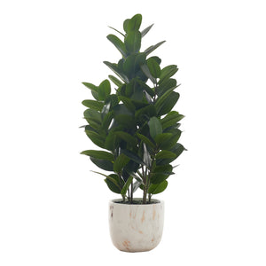 Plantes artificielles - Garcinia