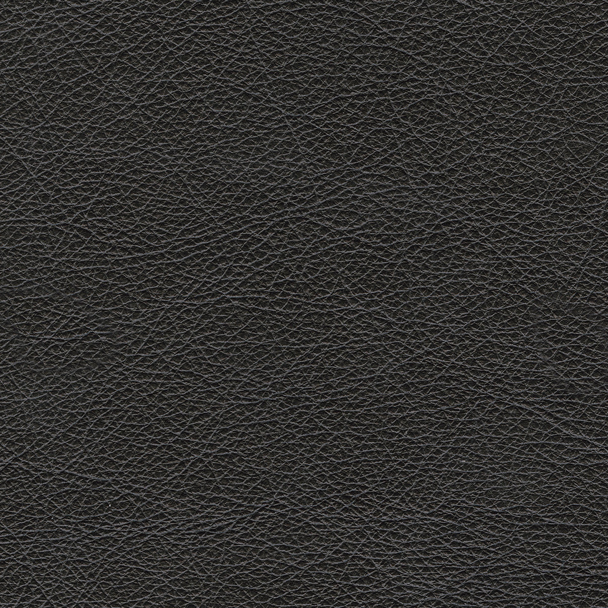 Ottoman en cuir noir surdimensionné - Amiata