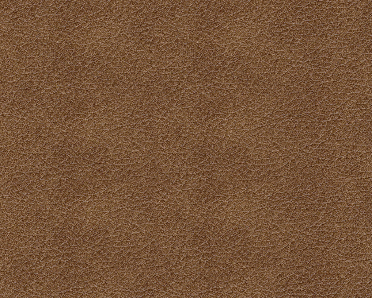 Sofa lit queen caramel en cuir - Bolsena