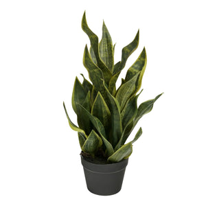 Plante artificielle - Sansevieria