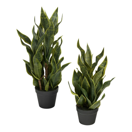 Plante artificielle - Sansevieria