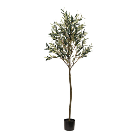 Arbres artificiels - Olivier