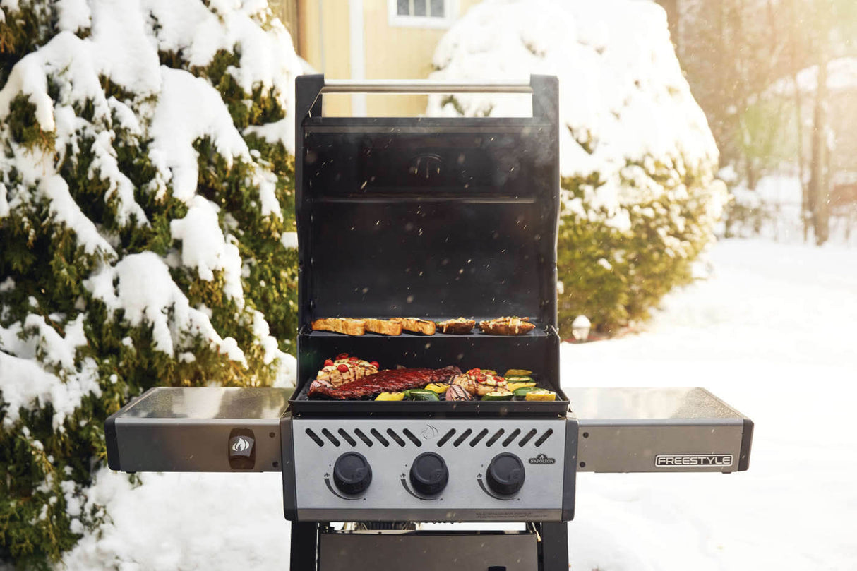 Barbecue au gaz naturel - Freestyle 365
