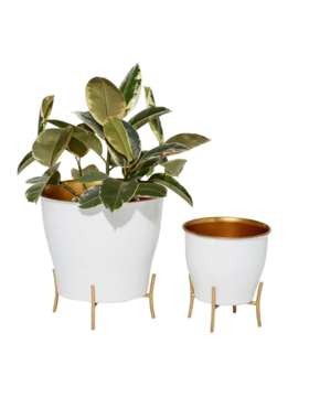 Picture of Set of 2 Plant Pots