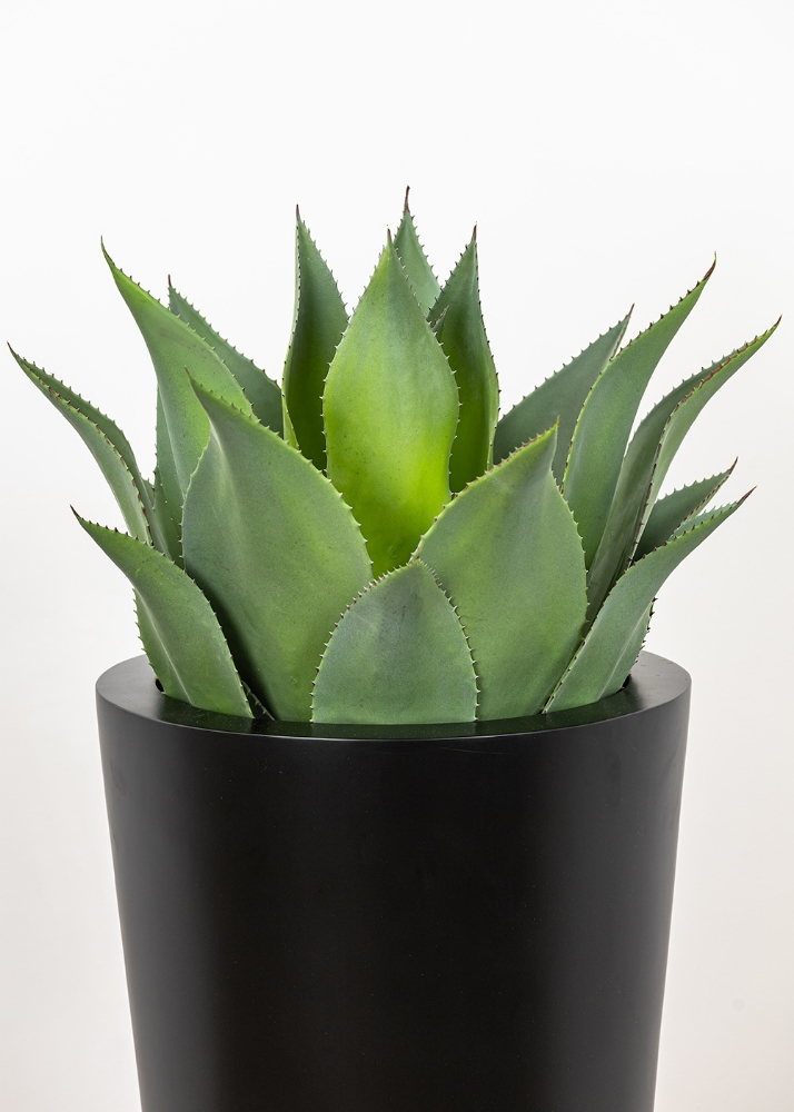 Picture of 26 Inch Artificial Agave Plant