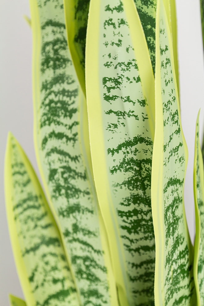 Picture of 42 Inch Artificial Sansevieria Plant