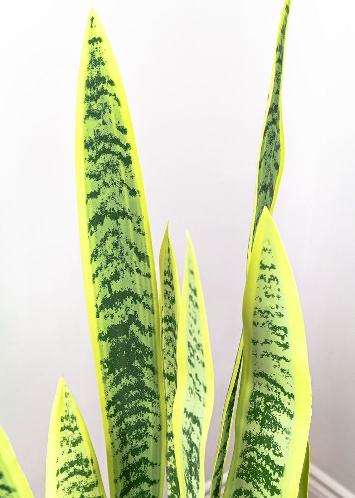 Picture of 42 Inch Artificial Sansevieria Plant