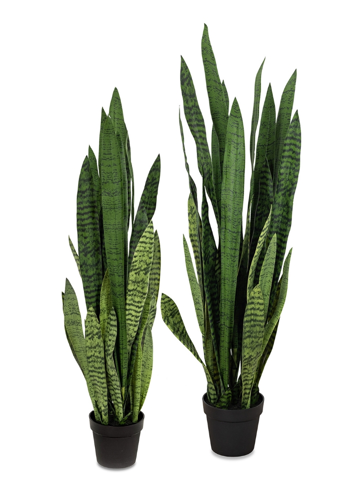 Picture of 52 Inch Artificial Sansevieria Plant