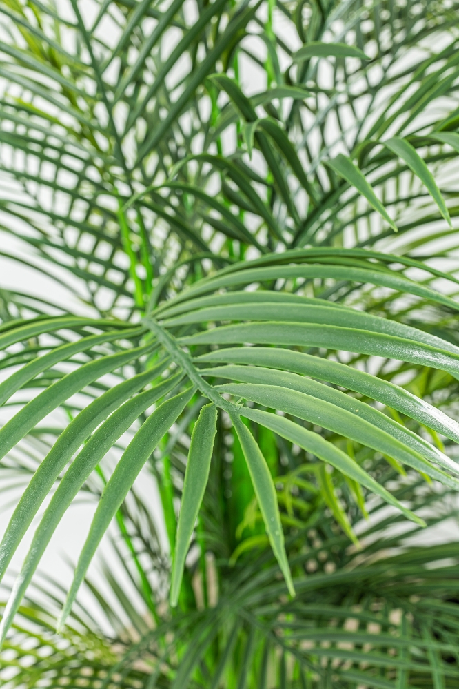 Picture of 84 Inch Artificial Palm Plant