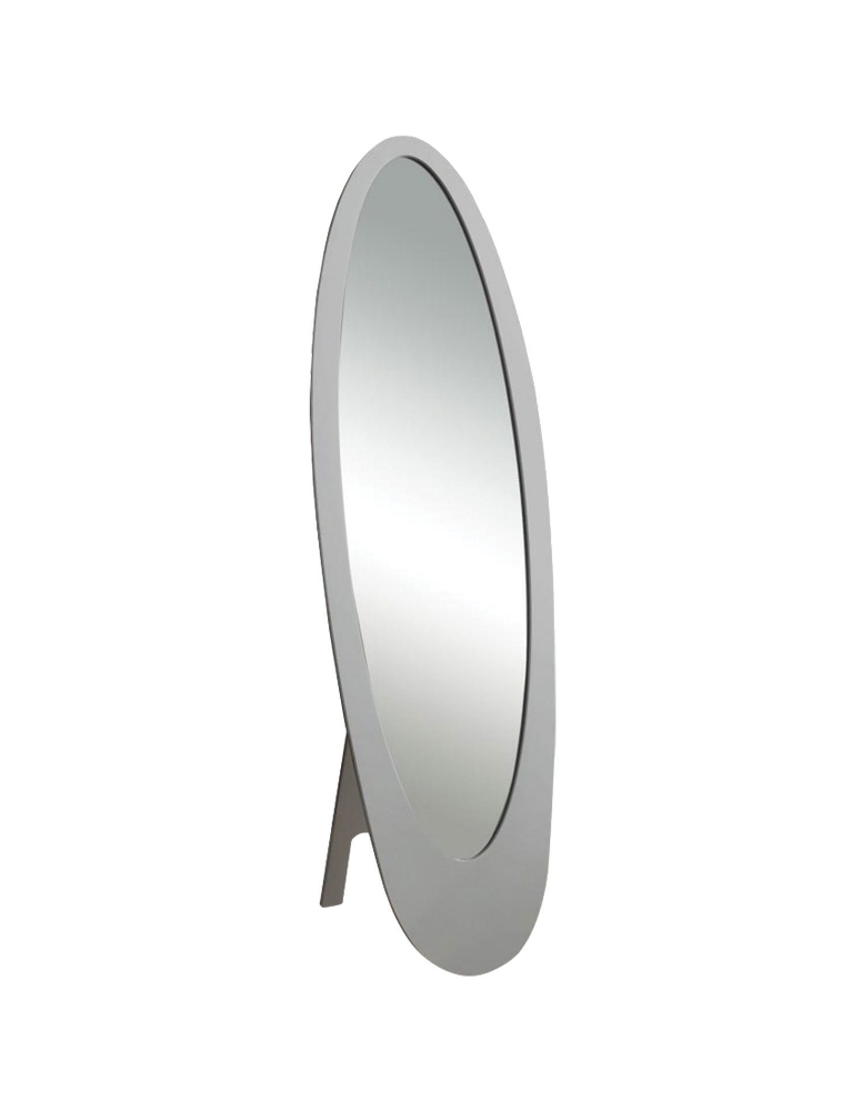 Picture of 19 x 52 Inch Floor Mirror